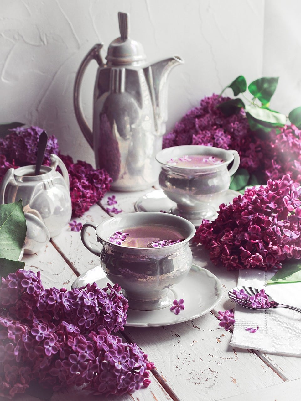 lilac, spring, tea-6268937.jpg
