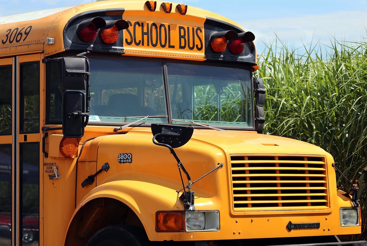 school bus, school, bus-4406479.jpg